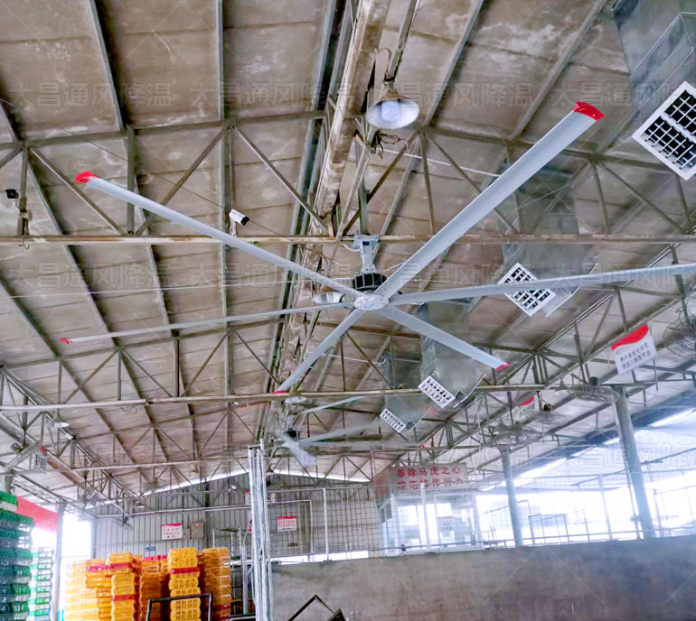 工業(yè)大風扇 工業(yè)大風扇.jpg