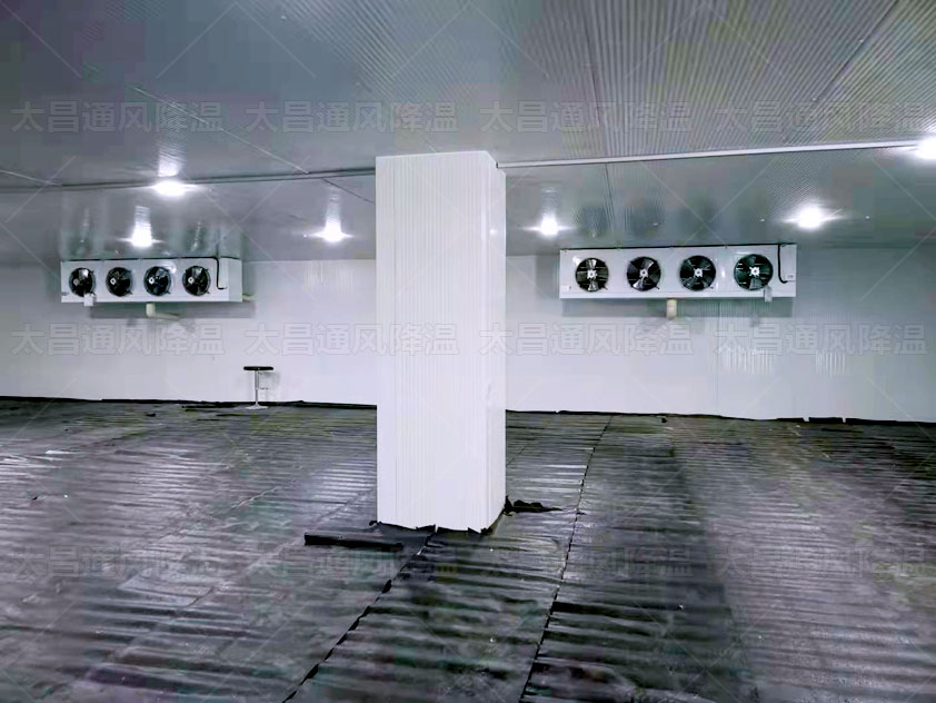 生鮮冷庫、物流冷庫冷鏈為農產(chǎn)品保駕護航