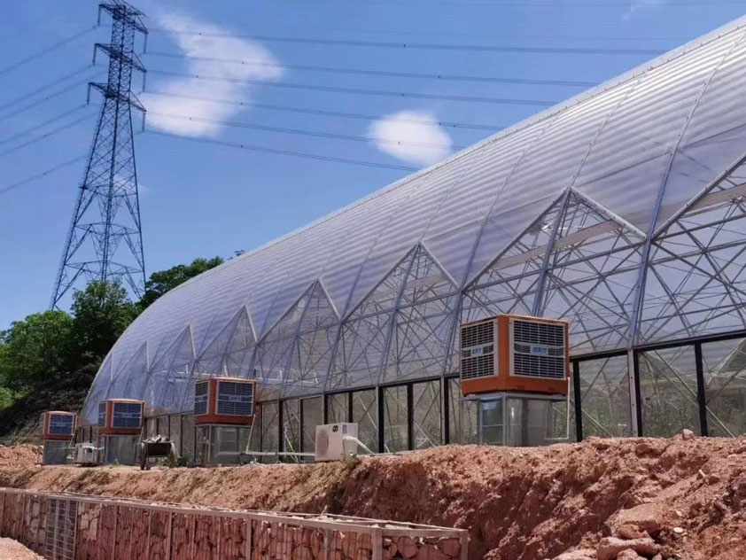 車間如何降溫？什么通風(fēng)降溫設(shè)備節(jié)能省電