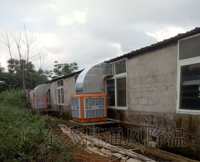 養(yǎng)殖場通風降溫工程|潤東方環(huán)?？照{(diào)方案設(shè)備