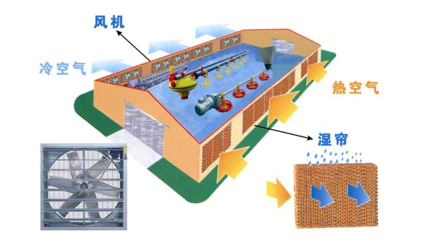 201332393333776 201332393333776